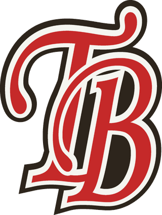 Logo Tahu Barokah